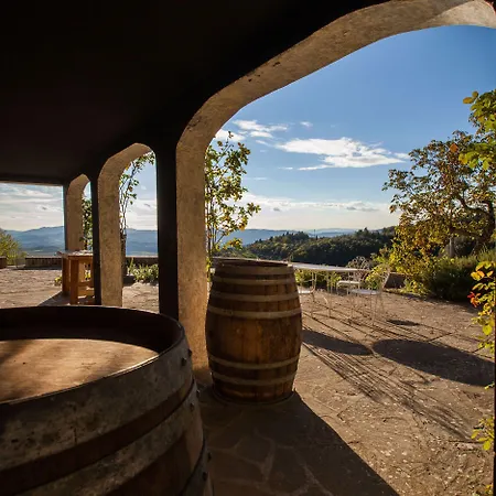 Podere Castellare * Pelago