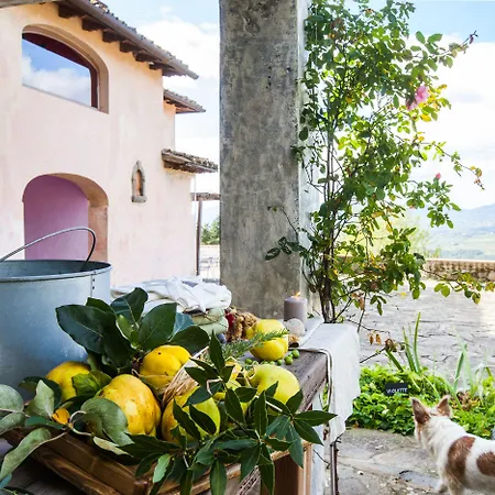 Podere Castellare Pelago