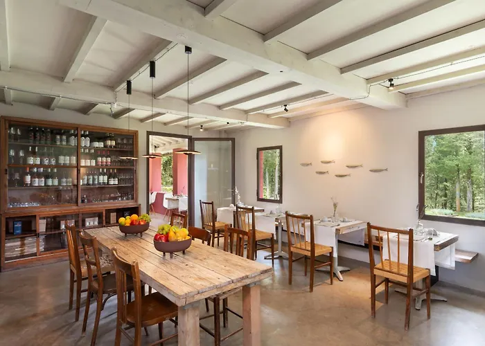 Podere Castellare Pelago