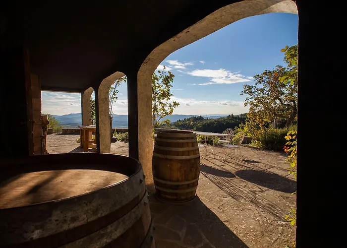 Podere Castellare * Pelago