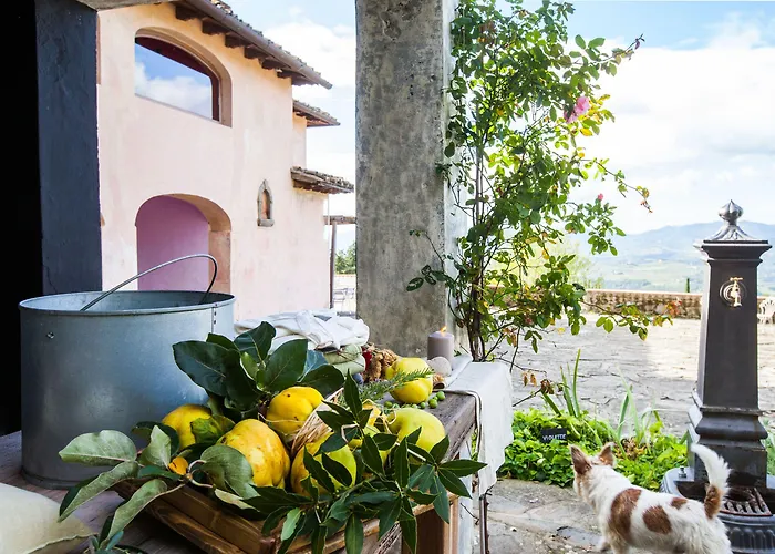 Podere Castellare Pelago