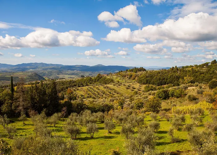 Podere Castellare Κατάλυμα σε φάρμα *