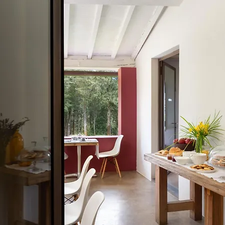 Podere Castellare Farm stay
